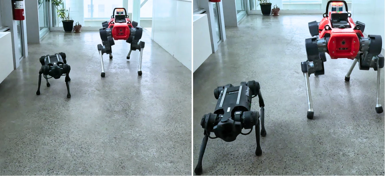 Locomotion policies trained inside the Quadrupedal World Model deployed on real quadrupedal robots.